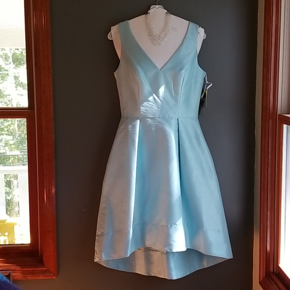 Alfred Sung's Seaside Blue Dress